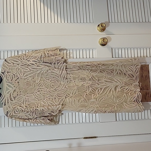 EUC In Phase Fashion Champagne Evening Dress - Picture 2 of 10